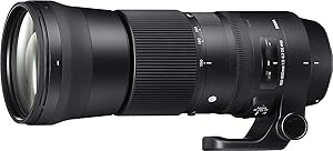 Sigma 150-600mm F5-6.3 Contemporary DG OS HSM Lens for Nikon Review