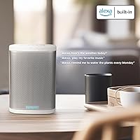 RIVA Concert Wi-Fi Bluetooth Smart Hi-Fi Speaker — image 2