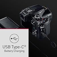 Panasonic LUMIX FZ80D 4K Point and Shoot Camera — image 11