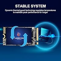 GAMERKING 256GB M.2 2242 NVMe SSD — image 4