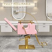 LUXMARS Heavy Duty Barber Chair, Pink — image 4