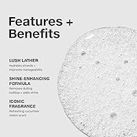 Paul Mitchell Awapuhi Shampoo 10oz — image 3