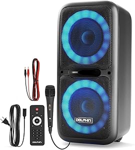 Dolphin SP-2120RBT 12″ Dual Party Speakers Review