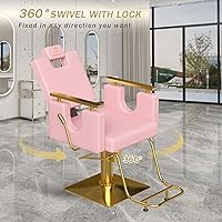 LUXMARS Heavy Duty Barber Chair, Pink — image 6