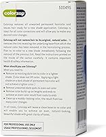 L'Oreal Technique ColorZap Hair Color Remover — image 2