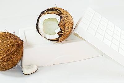 Soap Expressions Coconut Milk Soap Base 5 lb.