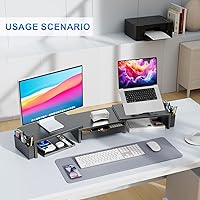Gianotter Dual Monitor Stand Riser — image 4