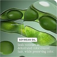 Biolage Color Last Conditioner 13.6oz — image 8