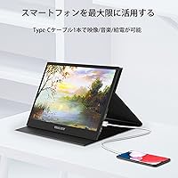 Visual Beat R13PMT101 13.3-inch Portable Touchscreen Monitor — image 6