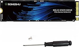 RONGSHU 1TB NVMe SSD