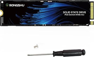 RONGSHU RS001 512GB NVMe SSD