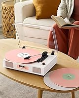 DANFI AUDIO DF TE-2017 Vinyl Record Player — image 6