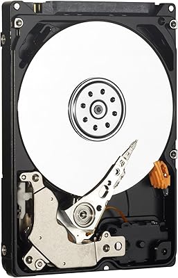 WD AV-25 1TB Hard Drive