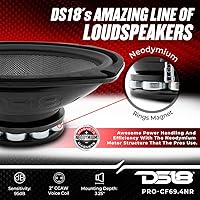 DS18 PRO-CF69.4NR 6 x 9 Inches Water Resistant Loudspeaker — image 3