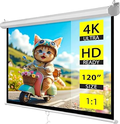 ZENY 120" Projector Screen