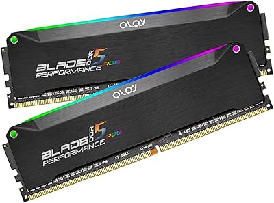OLOy DDR5 16GB (2x8GB) 4800 MHz RAM
