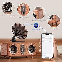 FREEFISH AS36 Retro Bluetooth Speaker — image 7