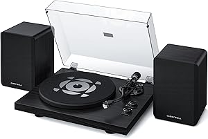 Qlearsoul SoulBox S1 Vinyl Record Player Review