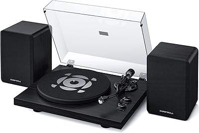 Qlearsoul SoulBox S1 Vinyl Record Player