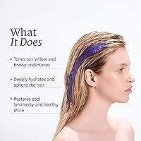 LA PUISSANCE Silver Toning Purple Hair Mask for Blonde & Gray Hair, 8.82oz — image 2