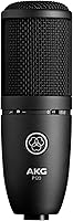 AKG Pro Audio P120 Condenser Microphone — image 1