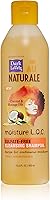 SoftSheen-Carson Dark and Lovely Au Naturale Moisture LOC Sulfate-Free Cleansing Shampoil, 13.5 fl oz — image 1