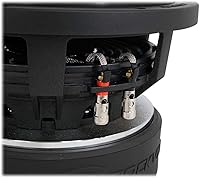 Rockville Punisher 10D2 10″ 5000W Dual 2-Ohm Car Subwoofer — image 7