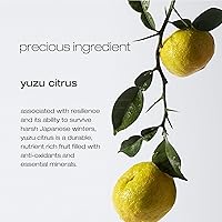 Shu Uemura Art of Hair Pure Serenity Clarifying Shampoo 13.4oz — image 4