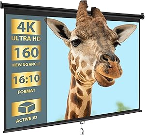 SUPER DEAL 100" 16:10 HD Projection Screen Review