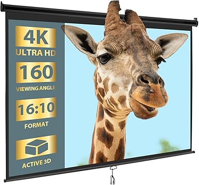 SUPER DEAL 100" 16:10 HD Projection Screen