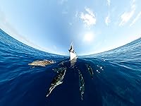 GoPro MAX 360 Camera — image 7