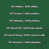 SheaMoisture Power Greens Curly Hair Shampoo and Conditioner, 13 Fl Oz (Pack of 2) — image 9