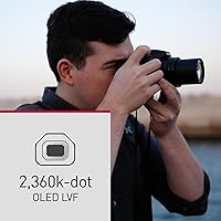 Panasonic LUMIX FZ80D 4K Point and Shoot Camera — image 8