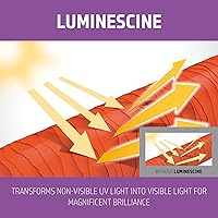 Goldwell Dualsenses Blondes & Highlights Brilliance Serum Spray 150mL — image 6