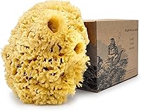 Baudelaire Sea Wool Sponge 5.5″ — image 1