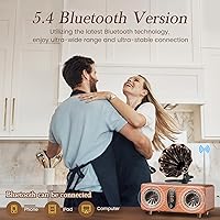 FREEFISH AS36 Retro Bluetooth Speaker — image 3