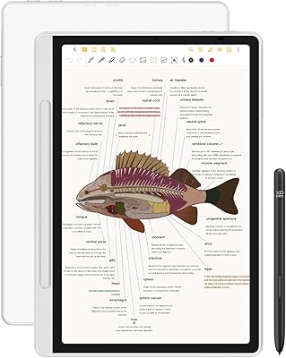 XP-Pen Magic Note Pad 10.95-inch 128GB