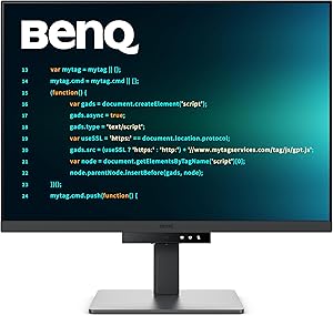BenQ RD280U 28.2” 4K Programmer Monitor