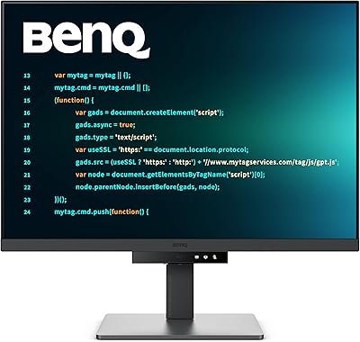 BenQ RD280U 28.2” 4K Programmer Monitor