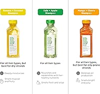 Briogeo Superfoods Matcha + Apple Replenishing Shampoo 14.4oz — image 8