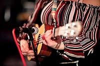 Beyerdynamic M160 Double Ribbon Microphone — image 8