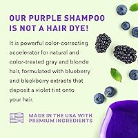 Just Nutritive Purple Toning Shampoo 8 oz — image 9
