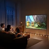 VISULAPEX 120-inch Projector Screen with Stand — image 6