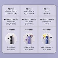 milk_shake Icy Blond Shampoo 10.1oz — image 8