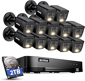ANNKE 16 Channel Security Camera System with 2TB HDD Review