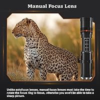 BENOISON 420-800mm F/8.3-16 Telephoto Lens for Nikon F-Mount DSLR Cameras — image 4