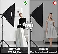 BEIYANG Softbox Lighting Kit 2x20″x28″ — image 8