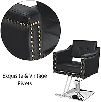 BarberPub Salon Chair 8813 — image 3