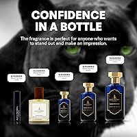 Alexandria Fragrances Black Panther Perfume 60mL — image 8
