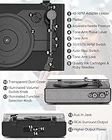 TANLANIN TE-2018BLK Vinyl Record Player — image 9